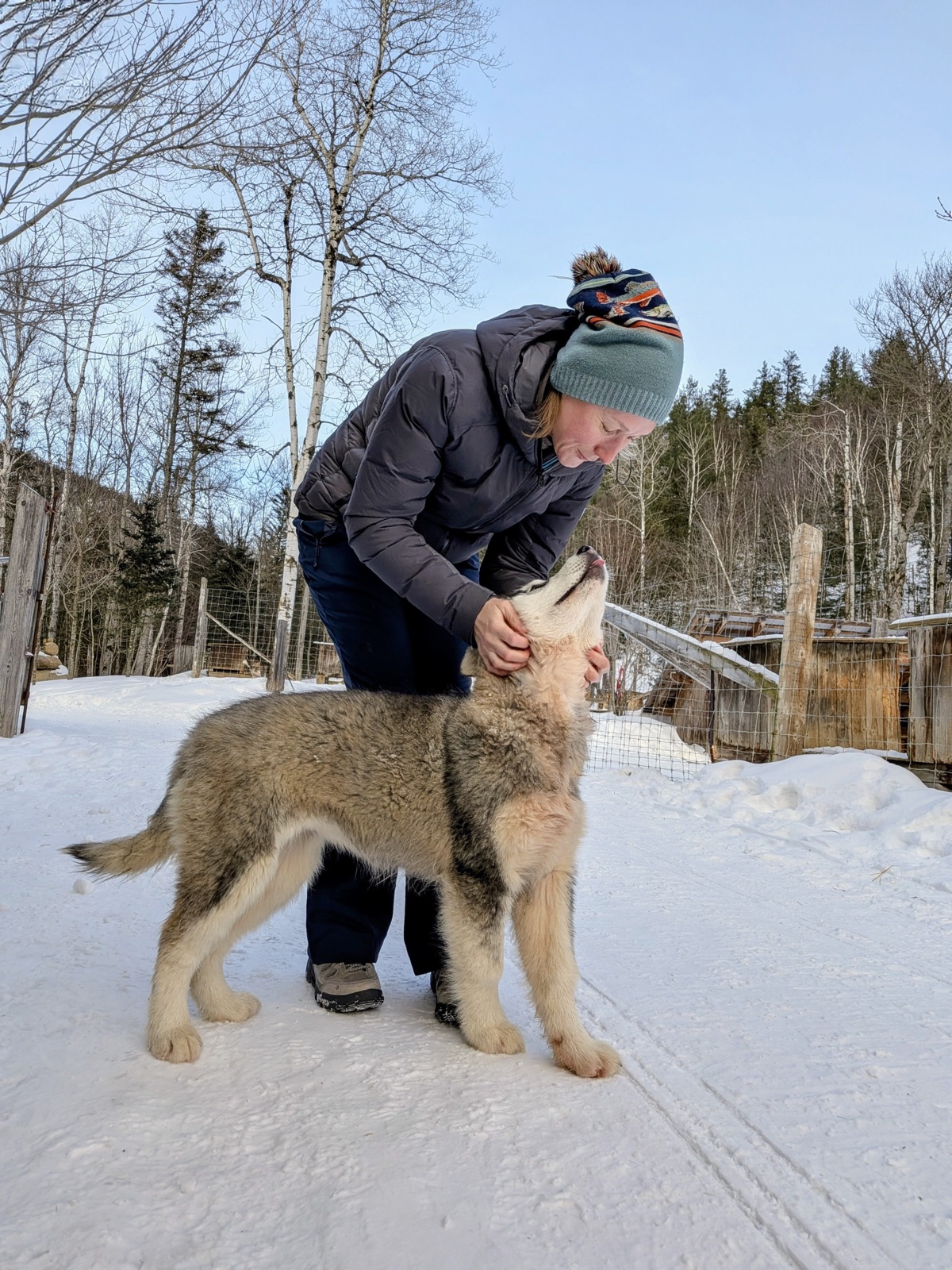 Shakedown: Northern Quebec in winter photo 4